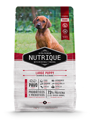 Nutrique Raza Puppy Grande 15 kg1