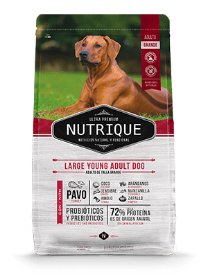 Nutrique Adulto Raza Grande 15 kg1