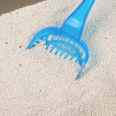 Arena Loops Cafe 9 kg1