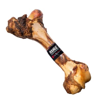 Hueso Gigante Vacuno1