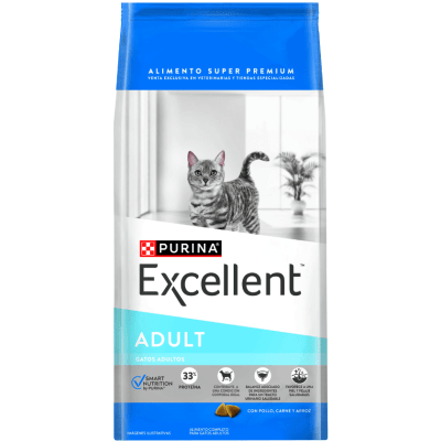 Excellent gato adulto