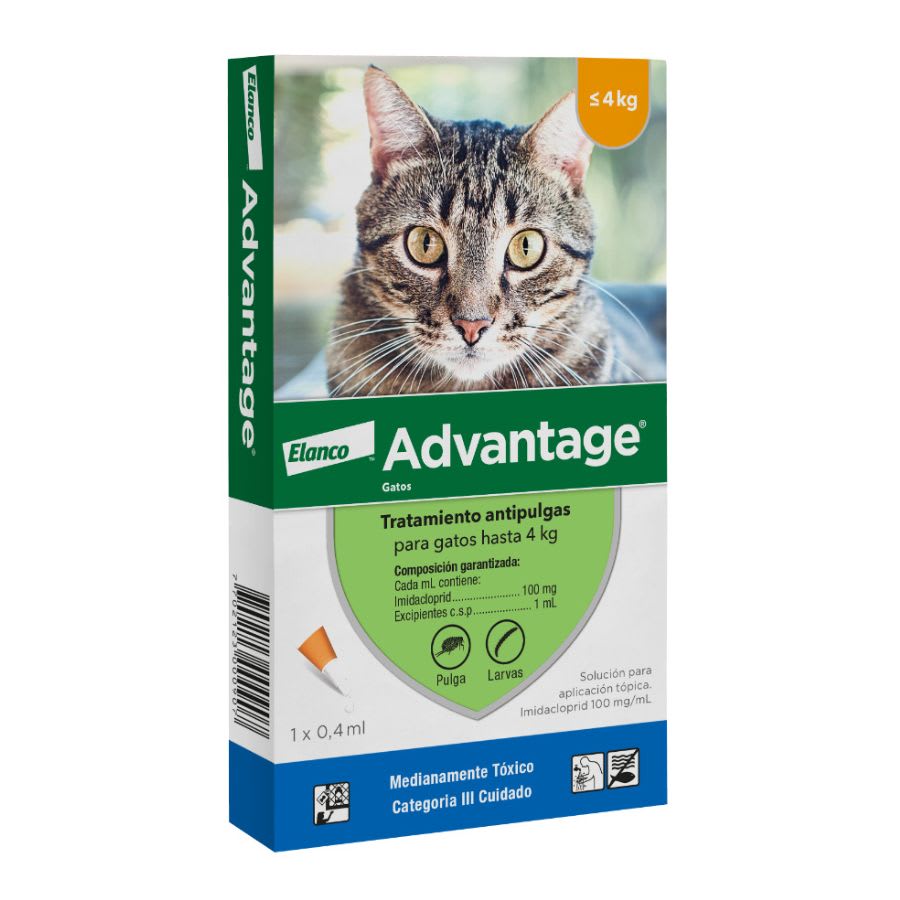 Advantage Gato 0
