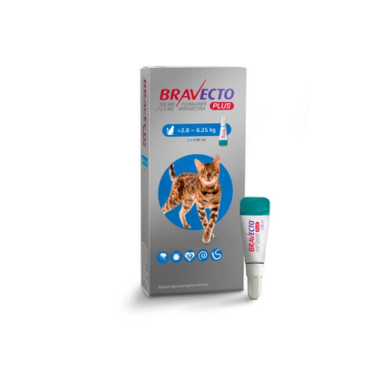 Bravecto Gato 1