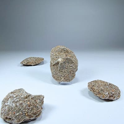 Cristal Geométrico De Rosa Del Desierto de 3 cm