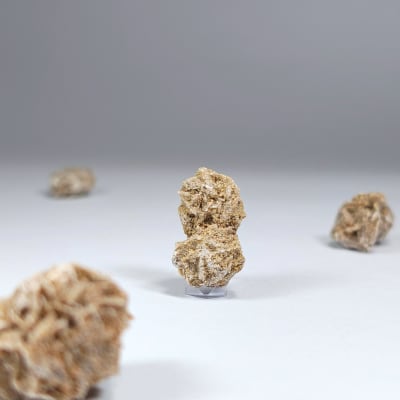 Drusa De Rosa Del Desierto de 1.7 X 1.3 cm