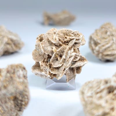 Drusa De Rosa Del Desierto de 2.8 X 2.5 cm