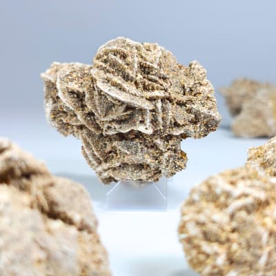 Drusa De Rosa Del Desierto de 6.5 X 4.9 cm