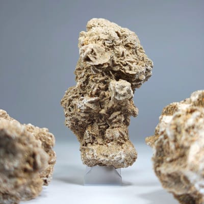 Drusa De Rosa Del Desierto de 8 X 6 cm