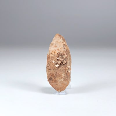 Maestro Biterminado De Cuarzo Ahumado de 4 cm1