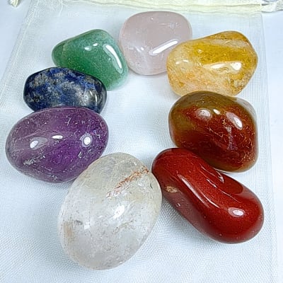 Set Básico de Gemoterapia M 1