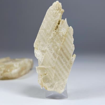 Trozo De Selenita Blanca de 6 cm1