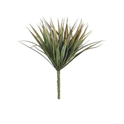 ARBUSTO DE PASTO VERDE-BURDEO ARBUSTO DE PASTO VERDE-BURDEO