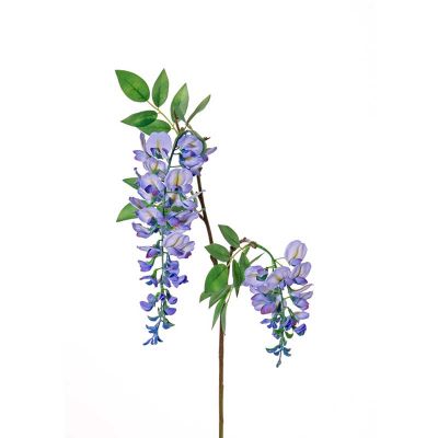 FLOR DE LA PLUMA AZUL FLOR DE LA PLUMA AZUL