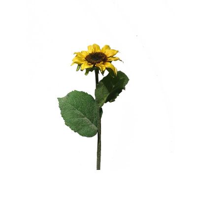 GIRASOL 38CM GIRASOL 38CM