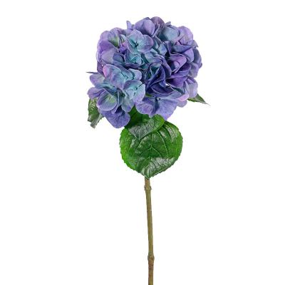 HORTENSIA AZUL HORTENSIA AZUL