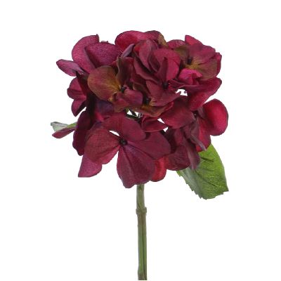 HORTENSIA BURDEO CORTO HORTENSIA BURDEO CORTO