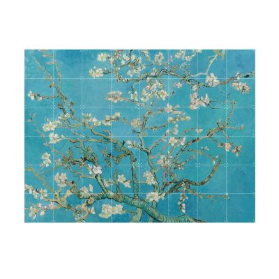 ALMOND BLOSSOM S ALMOND BLOSSOM S