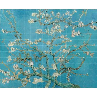 ALMOND BLOSSOM XL ALMOND BLOSSOM XL