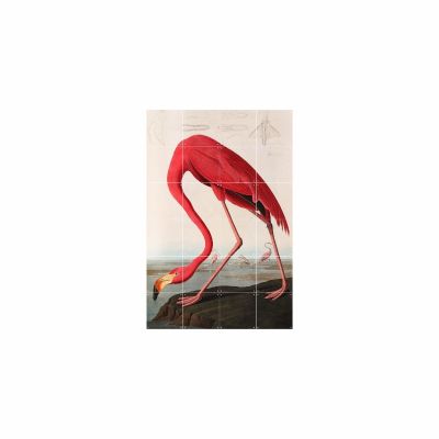 FLAMINGO AUDUBAN S FLAMINGO AUDUBAN S