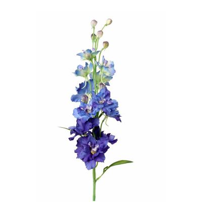 DELFINIUM AZUL DELFINIUM AZUL