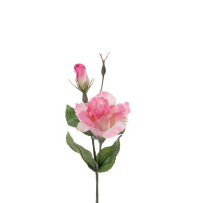 LISIANTHUS ROSADO LISIANTHUS ROSADO