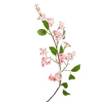 COPO DE NIEVE JAPONÉS ROSADO COPO DE NIEVE JAPONÉS ROSADO
