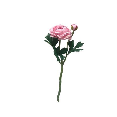 RANUNCULO ROSADO RANUNCULO ROSADO