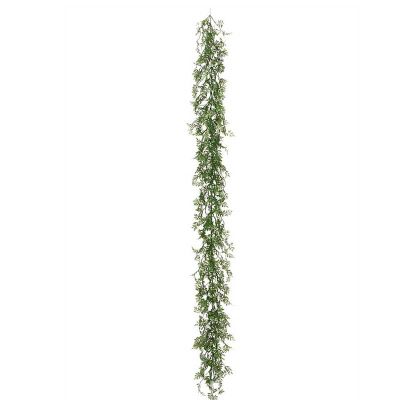 ENREDADERA WISTERIA ENREDADERA WISTERIA