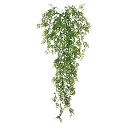 ENREDADERA COLGANTE WISTERIA ENREDADERA COLGANTE WISTERIA