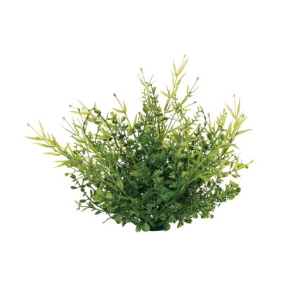 ARBUSTO TARRAGON ARBUSTO TARRAGON