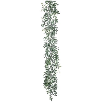 ENREDADERA BOXWOOD ENREDADERA BOXWOOD