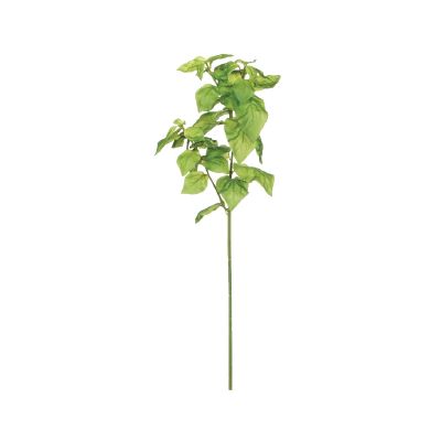 ALBAHACA ALBAHACA