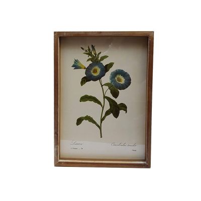 CUADRO AZUL BOTANICO D CUADRO AZUL BOTANICO D