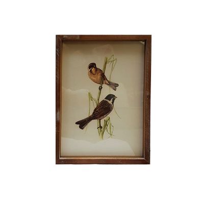CUADRO SONG BIRD & FAUNA B CUADRO SONG BIRD & FAUNA B