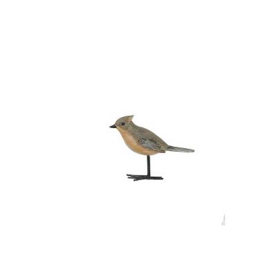 PAJARO RESINA ABUBILLA PAJARO RESINA ABUBILLA