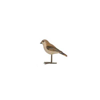 PAJARO RESINA WARBLER PAJARO RESINA WARBLER