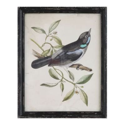 CUADRO PAJARO A CUADRO PAJARO A