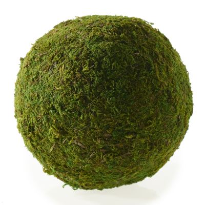 PELOTA DE MUSGO L PELOTA DE MUSGO L
