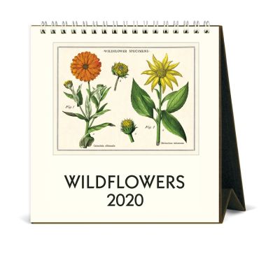 CALENDARIO 2020 WILDFLOWERS CALENDARIO 2020 WILDFLOWERS