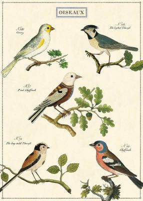 BIRD CHART BIRD CHART