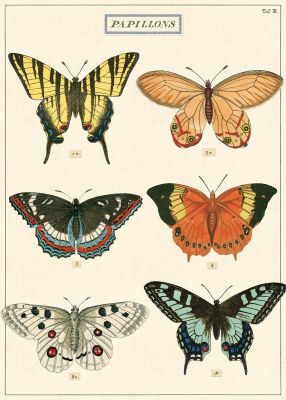 BUTTERFLIES BUTTERFLIES