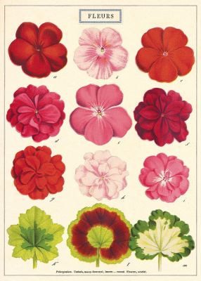 FLEURS FLEURS