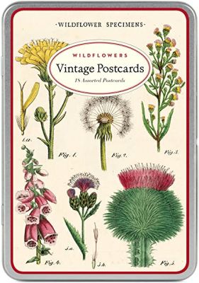 POSTALES WILDFLOWERS POSTALES WILDFLOWERS