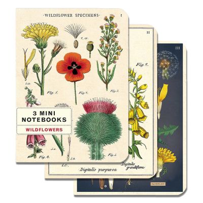3 MINI LIBRETAS WILDFLOWERS 3 MINI LIBRETAS WILDFLOWERS