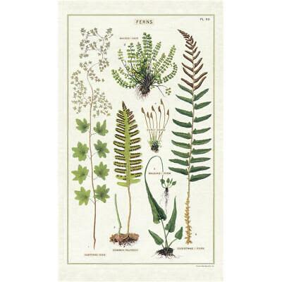 PAÑO DE COCINA FERNS PAÑO DE COCINA FERNS