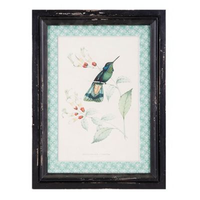CUADRO HUMMINGBIRD A CUADRO HUMMINGBIRD A