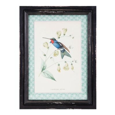 CUADRO HUMMINGBIRD B CUADRO HUMMINGBIRD B