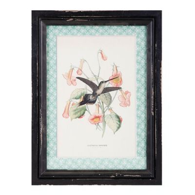 CUADRO HUMMINGBIRD C CUADRO HUMMINGBIRD C