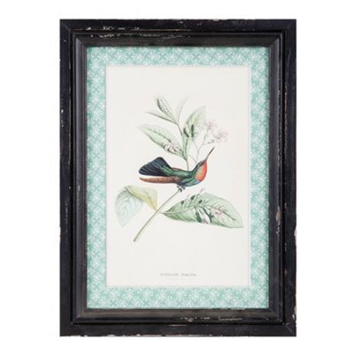 CUADRO HUMMINGBIRD D CUADRO HUMMINGBIRD D