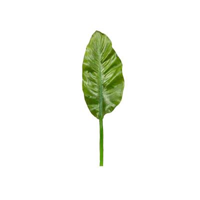 HOJA AVE DEL PARAÍSO HOJA AVE DEL PARAÍSO
